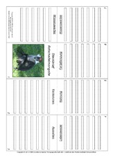 Faltbuch-Rotscheitelmangabe.pdf